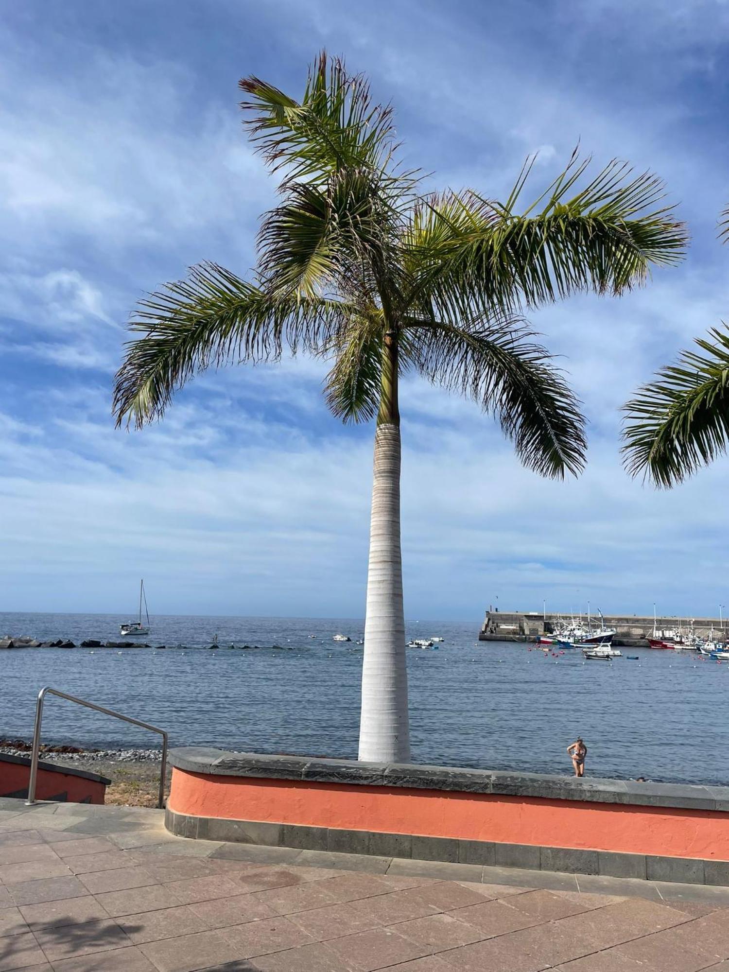 Seaside Paradise - 2 Bedroom Apartment With Ocean Views & Air Conditioning In Playa San Juan 外观 照片