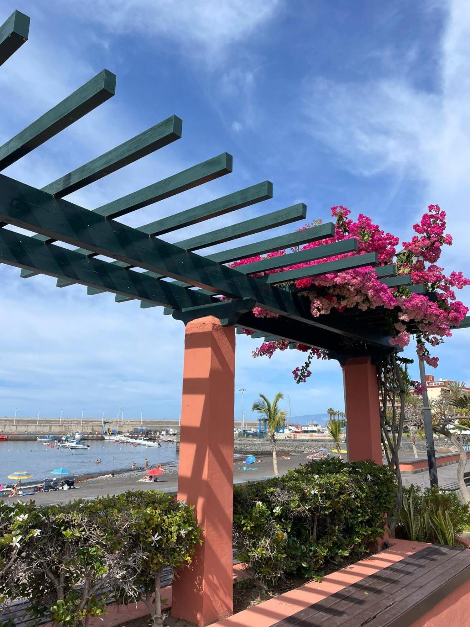 Seaside Paradise - 2 Bedroom Apartment With Ocean Views & Air Conditioning In Playa San Juan 外观 照片